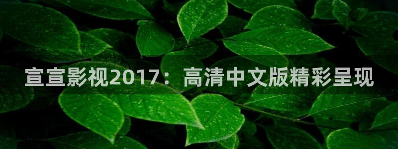 神马不卡手机