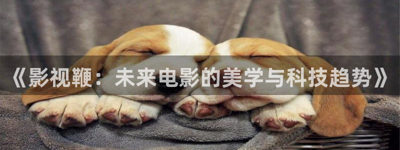 神马午夜免费电影院