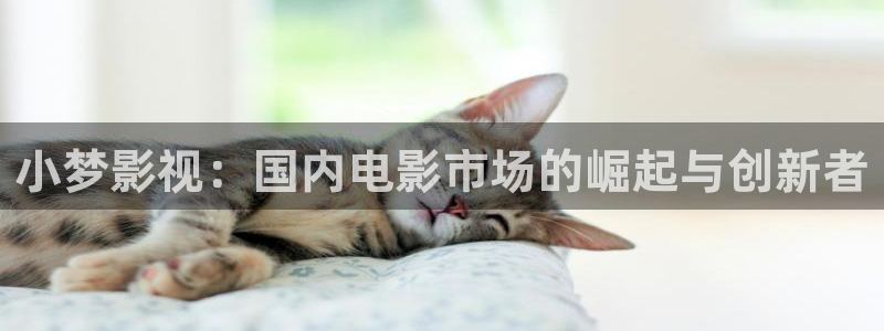 神马影院我不卡电影