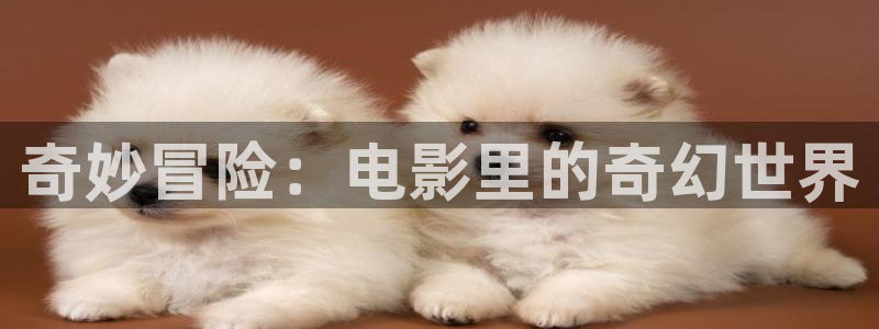94神马影视在线