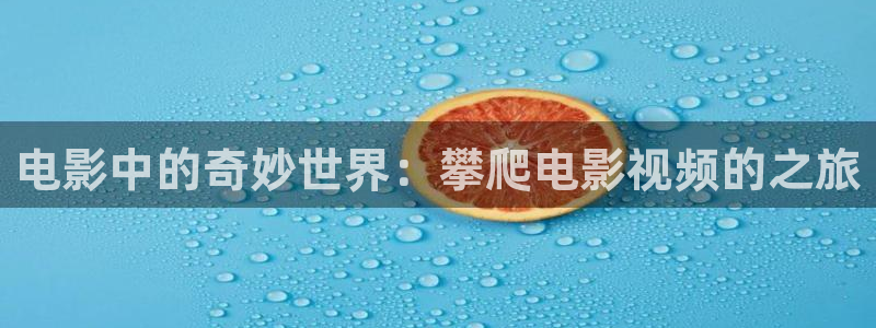 神马视频伦理