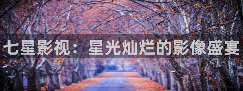 神马电影欧美
