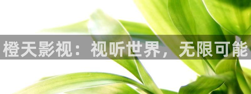 神马电影理论电影