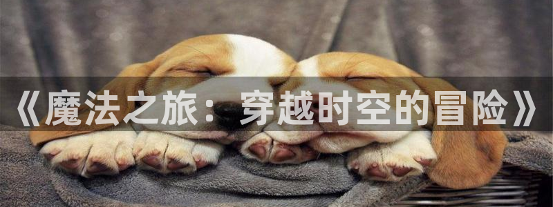 神马影院超神麻豆忘忧草