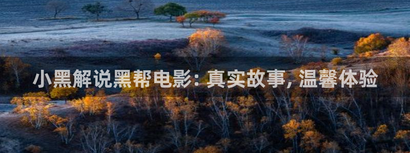 神马手机免费电影