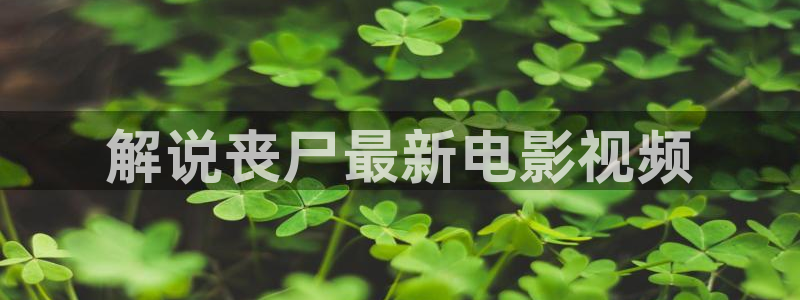神马策驰影视