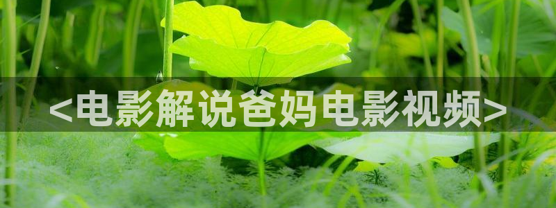 三米影视神马