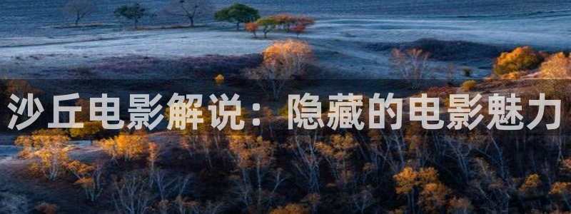 神马影视电视剧免费观看完整版