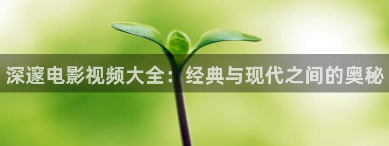 韩国电影神马伦理片
