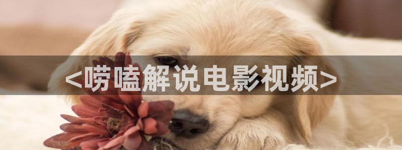 神马影院高清