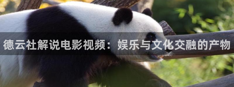 神马手机影院观看
