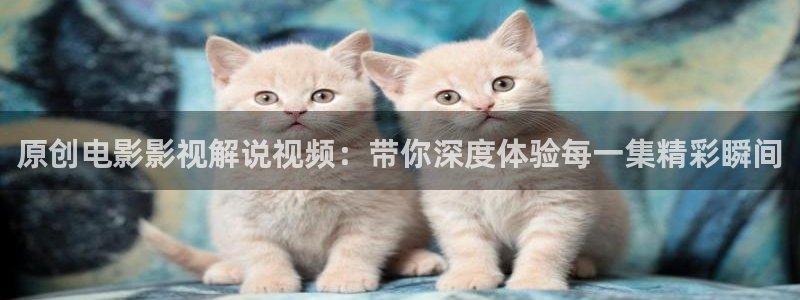 神马影院免费在线