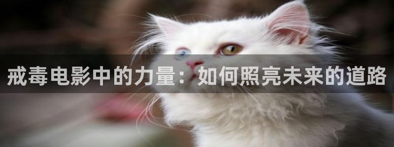 李采潭神马影院