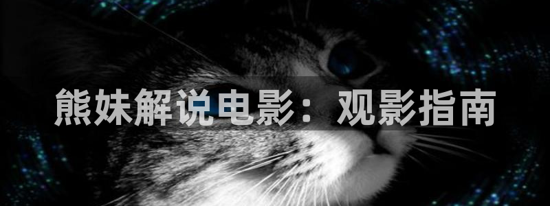 神马电影院达达兔影院综合