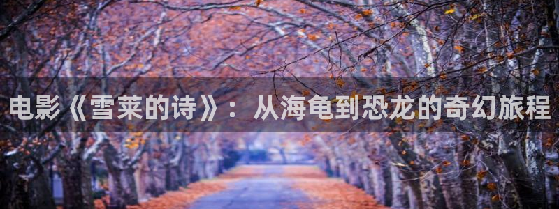 神马私人午夜影院