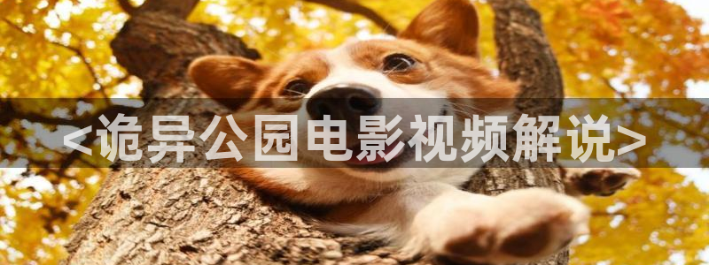 神马我不卡