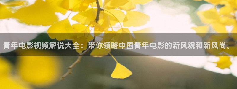 神马影院我不卡视频