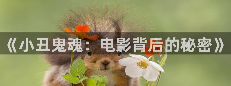 原来新神马电影好看
