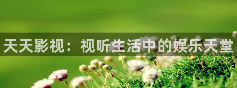 神马手机在线我不卡