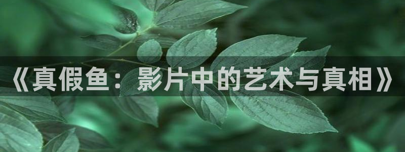 神马电影论理