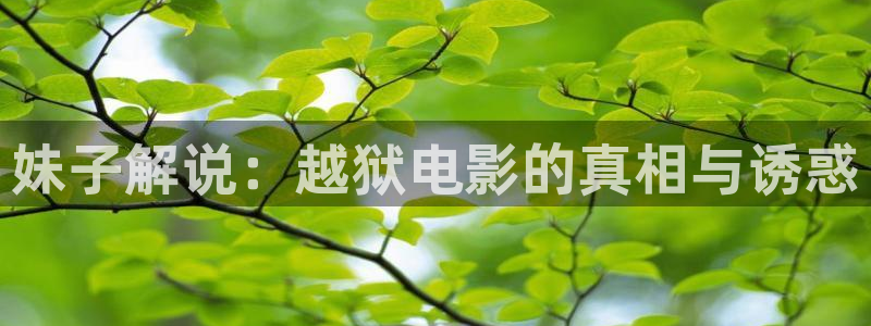 2828神马电影网