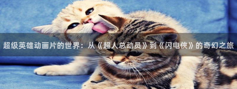 姐姐的朋友神马电影