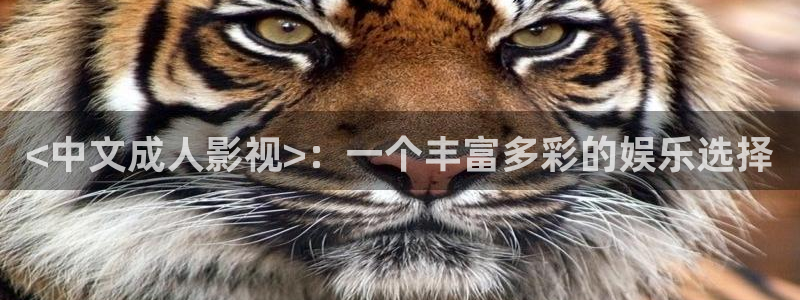 新神马午夜影院